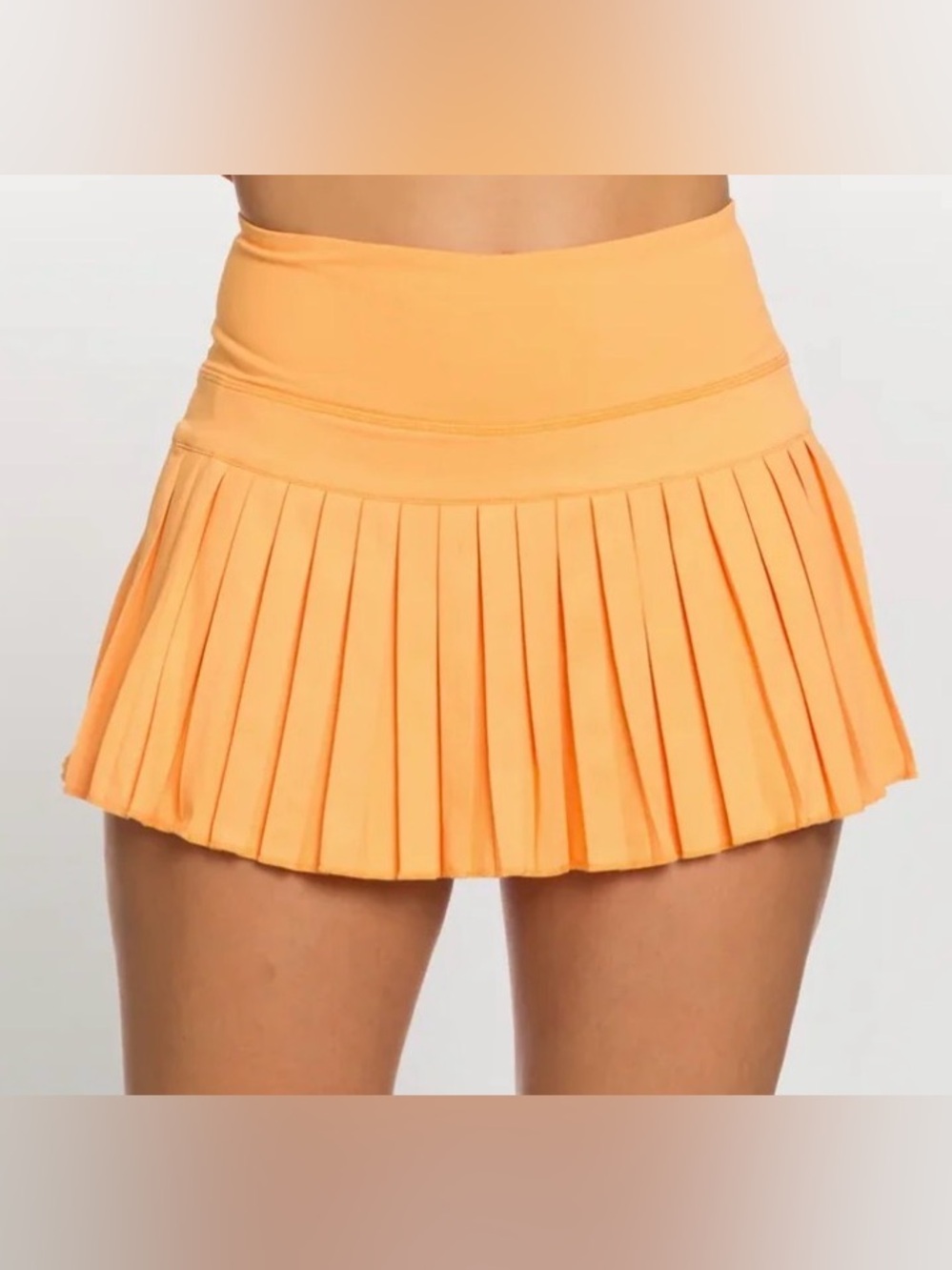 Gold Hinge Pleated Skirt